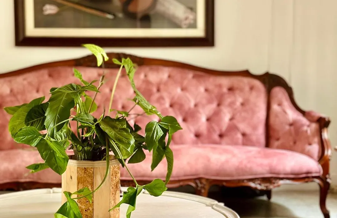Hotel Boutique Fiorentina Medellín-1